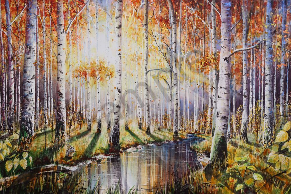 Birches Aglow Art | Artistry By Night