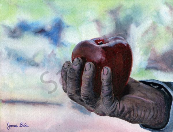 An Apple A Day Art | Artistry By Night