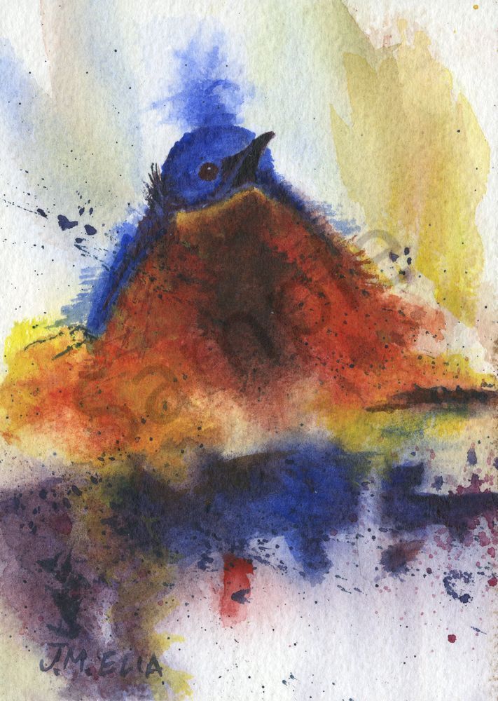 Feathered Friend 1 Art | Artistry By Night