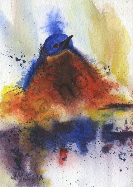 Feathered Friend 1 Art | Artistry By Night