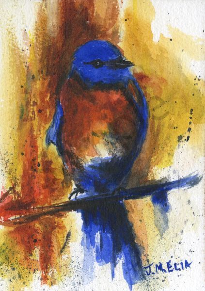 Feathered Friend 2 Art | Artistry By Night