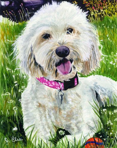 Mdawmdawmdawmdaw7qgraepd6cacehr zcfbfywxu2fyveayeunrgwctqqqltnerwweter6yomfiojy24adow ljj7f22f2vd2s3k0fn 38ezqodftc2xeuhdjufahdziomokxodj3hs jg da6ji5eudq olwagpj5emn5ge3qtedrlcgkozhpr1c3drsl9c emq9nxv esr 0z3nk5zrttdeoj 7i6qbqwltjpg kxcpppzrvy8rvib cpqcruusfsibfyf4cleqhh153map0qdzsu8ginzif8ekxscqliu5pudwednoz2ozxdnjfo