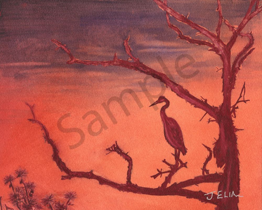 Evening Silhouette At Middle Creek Art | Artistry By Night