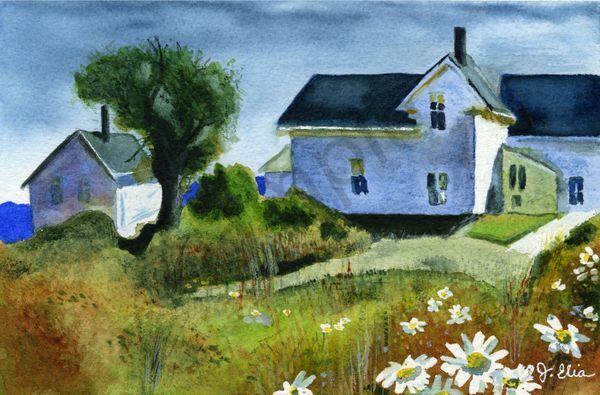 House With Daisies Art | Artistry By Night