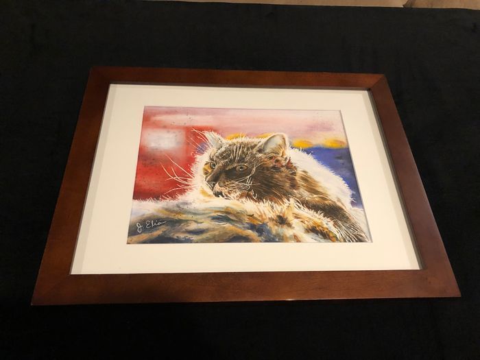 Mdawmdawmdawmdaw7qgraepd6cacehr zcfbfywxu2fyveayeunrgwctqqqltnerwweter6yomfiojy24adow ljj7f22f2vd2s3k0fn 38ezqodftc2xeuhdjufahdziomokxodj3hs jg da6ji5eudq olwagpj5emn5lwvqtoycmwwkcbeuo5mgxrniwl 4lr91axon0blgi3pe92 grxvg 6luou7ytliaz0makibkhur5yqevrdqexp4phuzzlyulylcambgc32ywrv8rbrtffrifv3phrvrv1i7c04bj5qfi3phadihtbbg h4wcjlolh cm