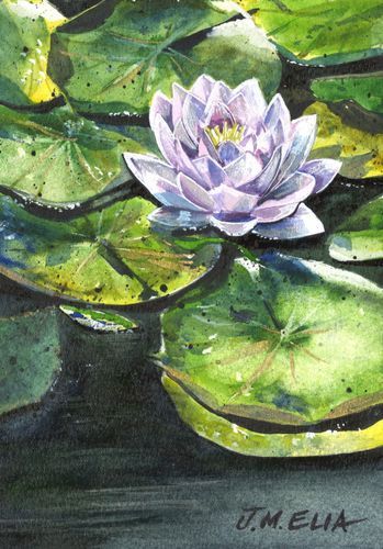 Mdawmdawmdawmdaw7qgraepd6cacehr zcfbfywxu2fyveayeunrgwctqqqltnerwweter6yomfiojy24adow ljj7f22f2vd2s3k0fn 38ezqodftc2xeuhdjufahdziomokxodj3hs jg da6ji5eudq olwagpj5emn5ofxglucdtdeizb0unuvrdecjweku4r9xxvf tru8txj0j2f5dahwl6lenvlotij5anvswbalxbdubsar ckuxsyprvspp3798nyophwd9gyxdb50mawgk xirhp zf0whkojrmosblatn kmigc3vbad8yg