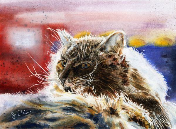 Sunlit Kitty Art | Artistry By Night