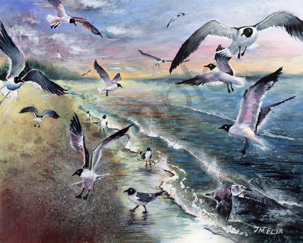 Seagull Frenzy Art | Artistry By Night
