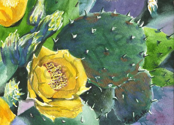 Prickly Pear Art | Artistry By Night