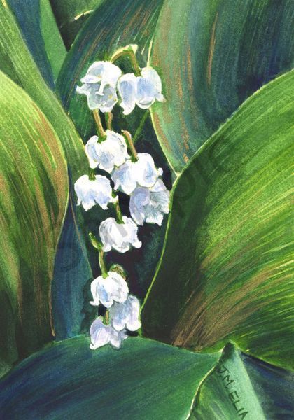 Valley Bells Art | Artistry By Night