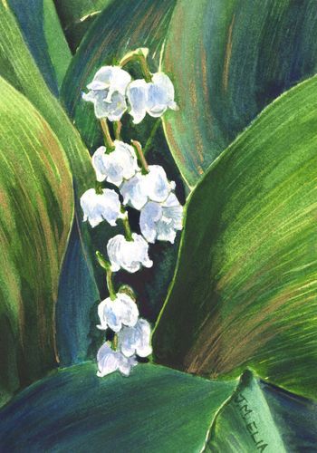 Mdawmdawmdawmdaw7qgraepd6cacehr zcfbfywxu2fyveayeunrgwctqqqltnerwweter6yomfiojy24adow ljj7f22f2vd2s3k0fn 38ezqodftc2xeuhdjufahdziomokxodj3hs jg da6ji5eudq olwagpj5emn5udxgea8rtbvggdeunuvrpfshhbki4r9xxvf truwtwj0j2f5dahwl6lenvlotij5anvswbalxbdubsar ckuxsyprvspp3798nyophwd9gyxdb50mawgk xirhp zf0whkojrgzitxn9yjumlvr88a7e2wg