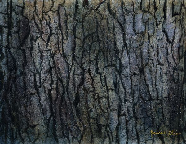 Tree Bark Study Art | Artistry By Night