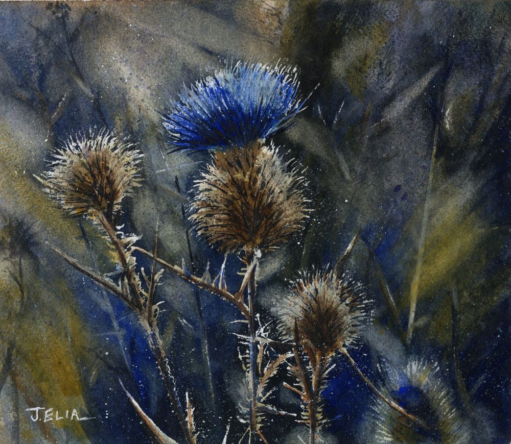 Thistle Vision Art | Artistry By Night