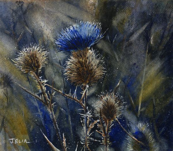 Thistle Vision Art | Artistry By Night