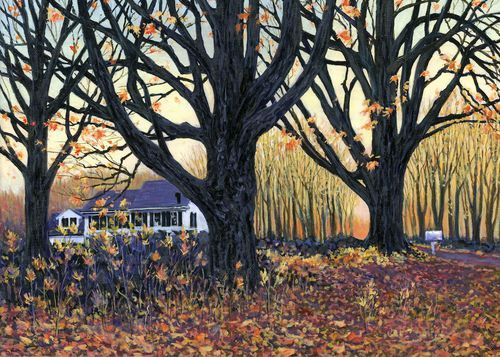 Moanalua Gardens, Hawaii Out Of Print Art | Carol Collette