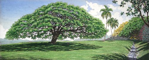 レア☆ キャロル コレット MOANALUA  GARDEN レア☆ キャロル コレット MOANALUA GARDEN Moanalua Gardens, Hawaii