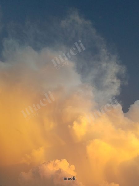 Amber Cloud