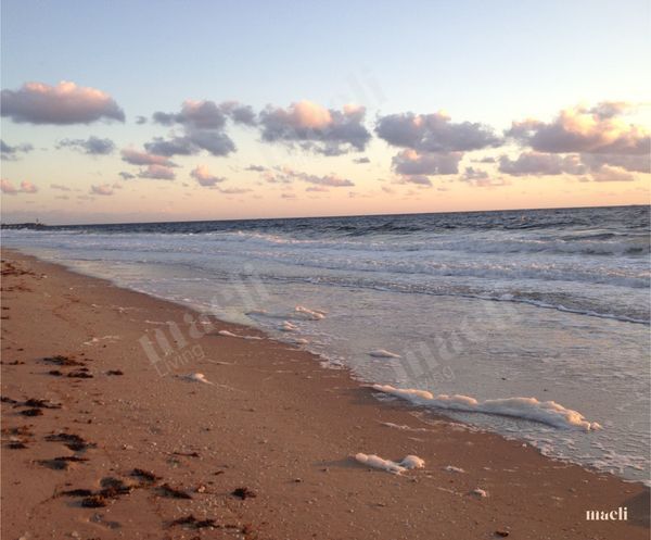 Florida Gulf Coast