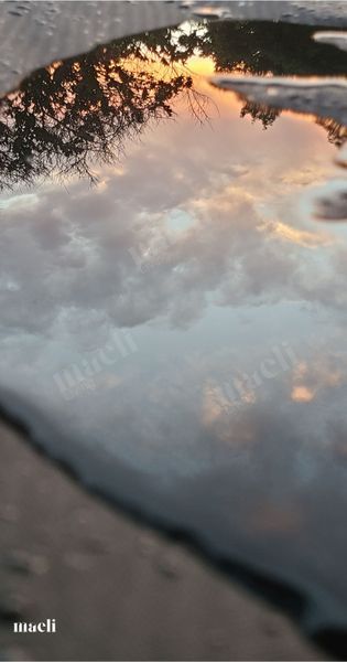 Reflection from above
