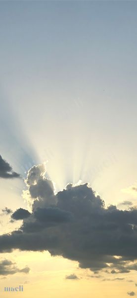 Rays for Days