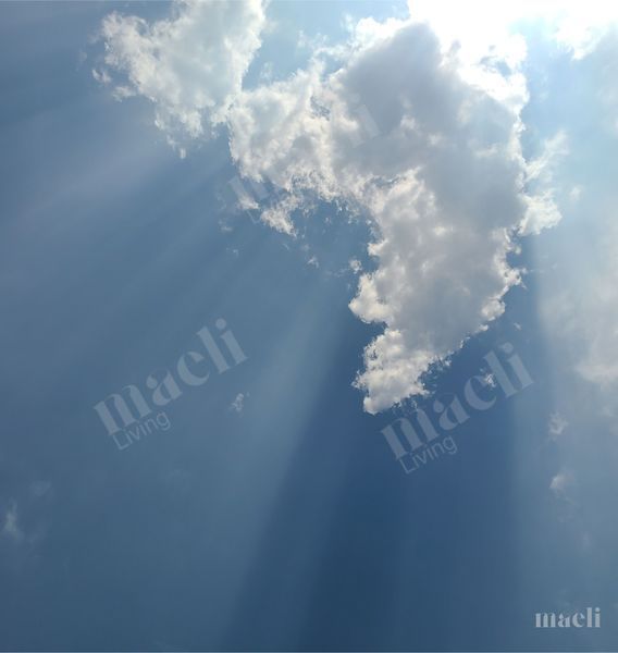 Let it Shine