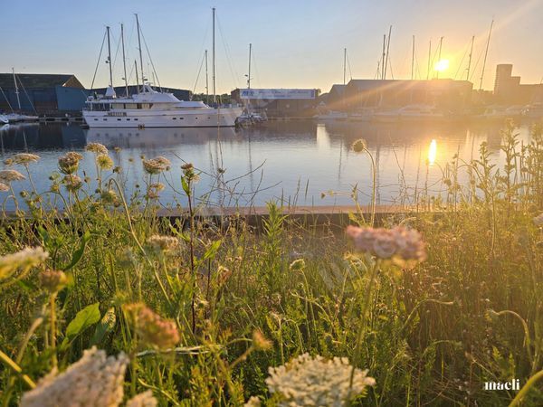Sunset Evening at Ipswich Marina UK
