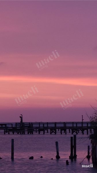 Purple Haze Sunset Gulf Coast Texas