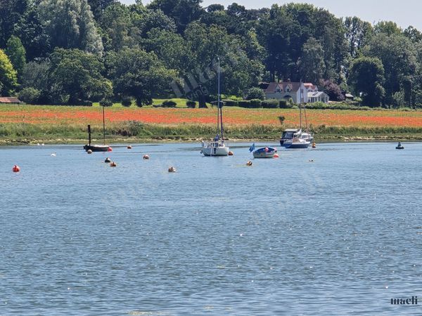 Woodbridge - a Beautiful Riverside Village UK