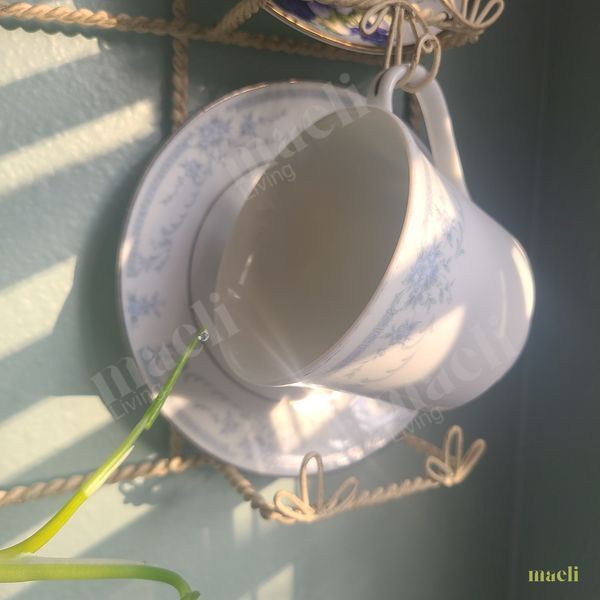 What fills your cup?