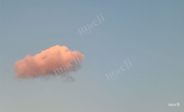 Just Floating by