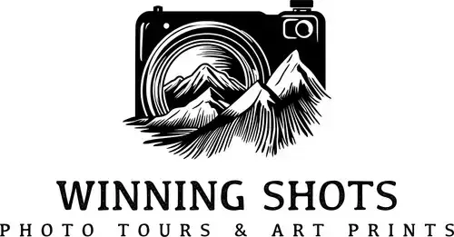 Winning Shots 