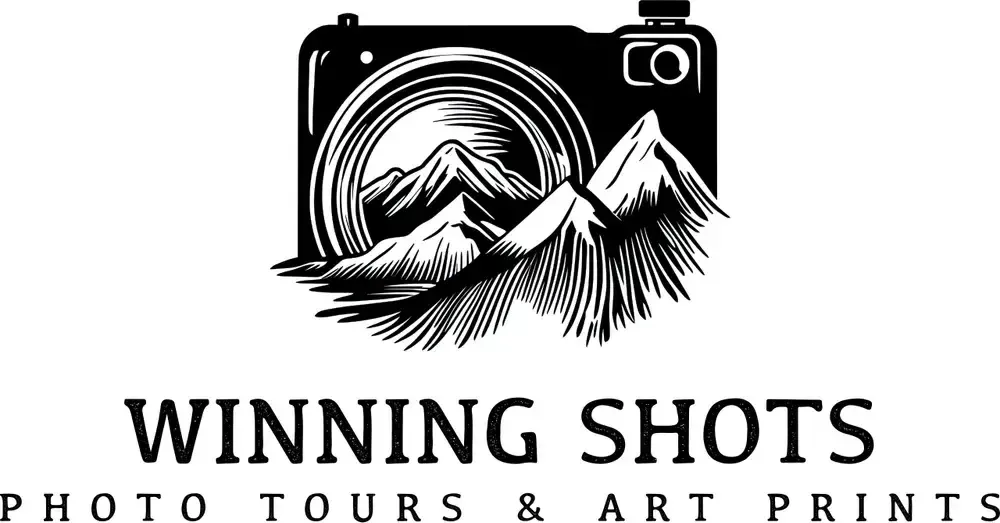 Winning Shots 