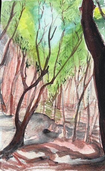 Watercolor Paintings