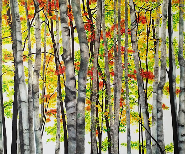 NATURE IMPRESSIONS