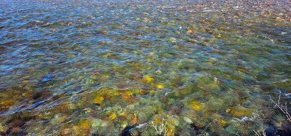 Rocky Flat Head River In Montana Photography Art | InYourBackyard