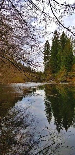 Reflections On The Molalla River Photography Art | InYourBackyard