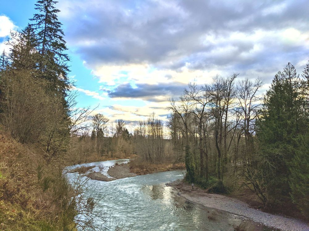 Reflecting At The Edge Of The Molalla River Photography Art | InYourBackyard