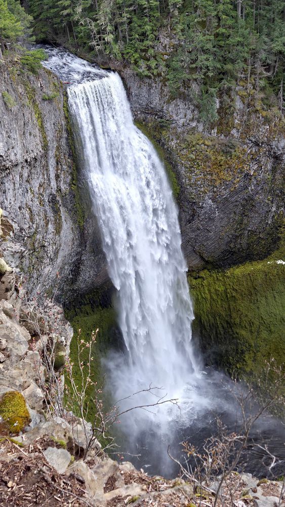 Salt Creek Falls   Willamette Pass Photography Art | InYourBackyard