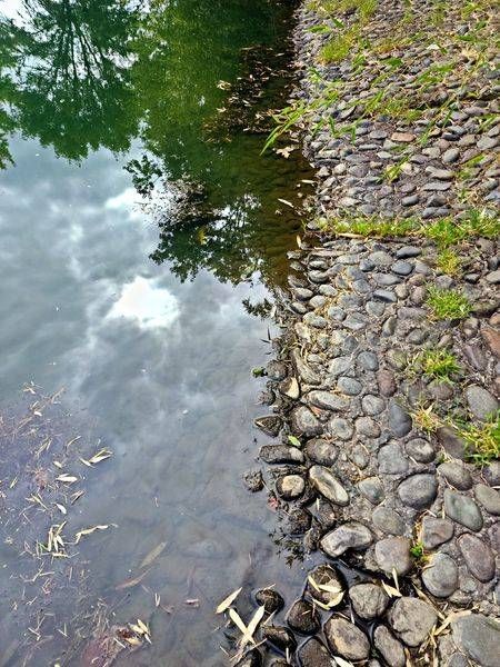 Sky Reflections Along The Bank Photography Art | InYourBackyard