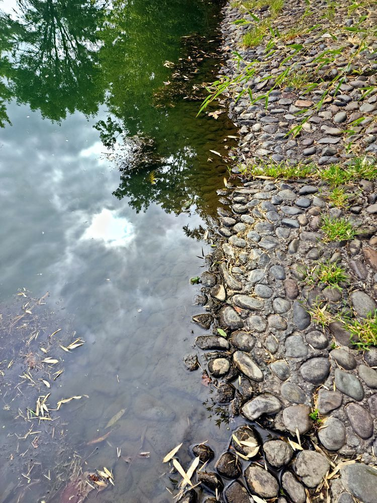 Sky Reflections Along The Bank Photography Art | InYourBackyard