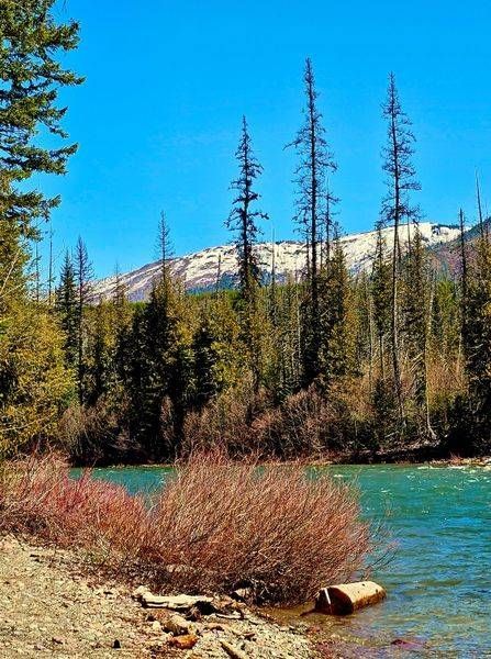Flathead River Landscape Photography Art | InYourBackyard