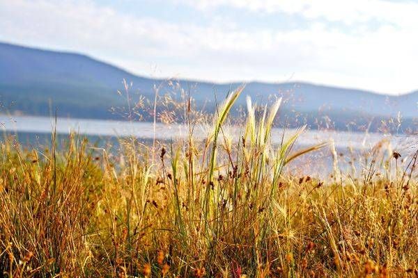 Grassy Knoll On East Lake Photography Art | InYourBackyard