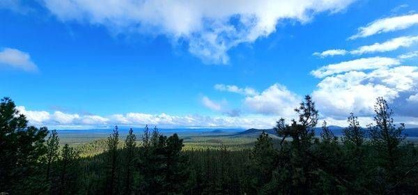 Deschutes National Forest From Pringle Butte Photography Art | InYourBackyard