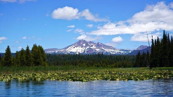 Broken Top Mountain From The Lillies On Hosmer Lake Photography Art | InYourBackyard