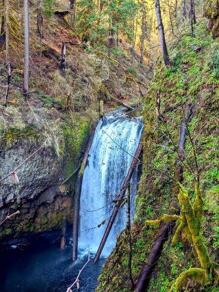Clackamas Falls Off The Memalouse Falls Trail Photography Art | InYourBackyard