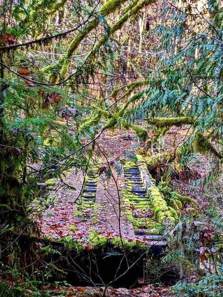 Abandoned Wooden Pipeline Bridge On The Memalouse Falls Trail Photography Art | InYourBackyard