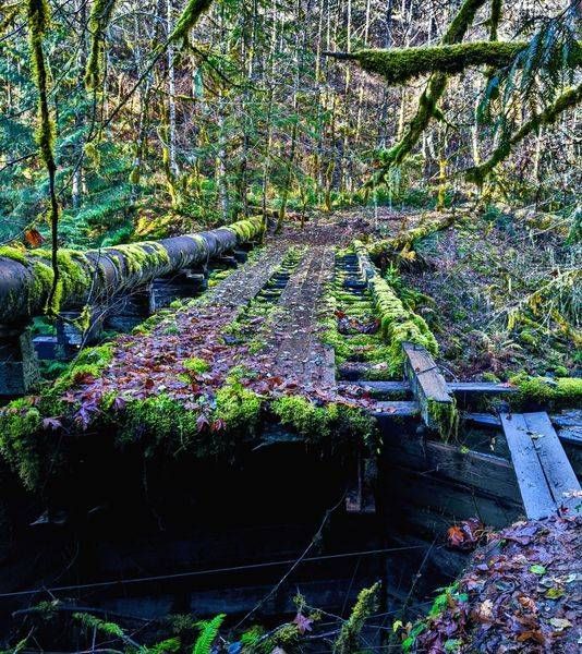Abondoned Bridge   Pipeline Memalouse Falls Trail Photography Art | InYourBackyard