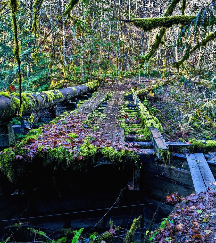 Abondoned Bridge   Pipeline Memalouse Falls Trail Photography Art | InYourBackyard