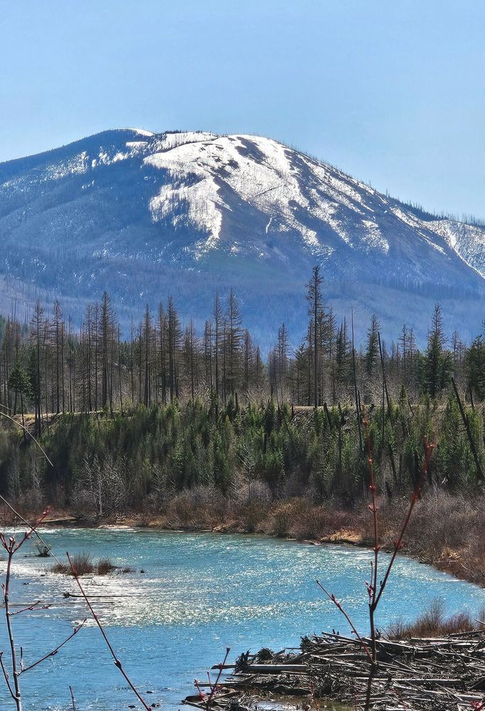 North Fork Of The Flathead River Landscape In Montana Photography Art | InYourBackyard
