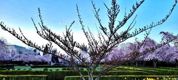 Oregon State Capitol Backdrop Photography Art | InYourBackyard